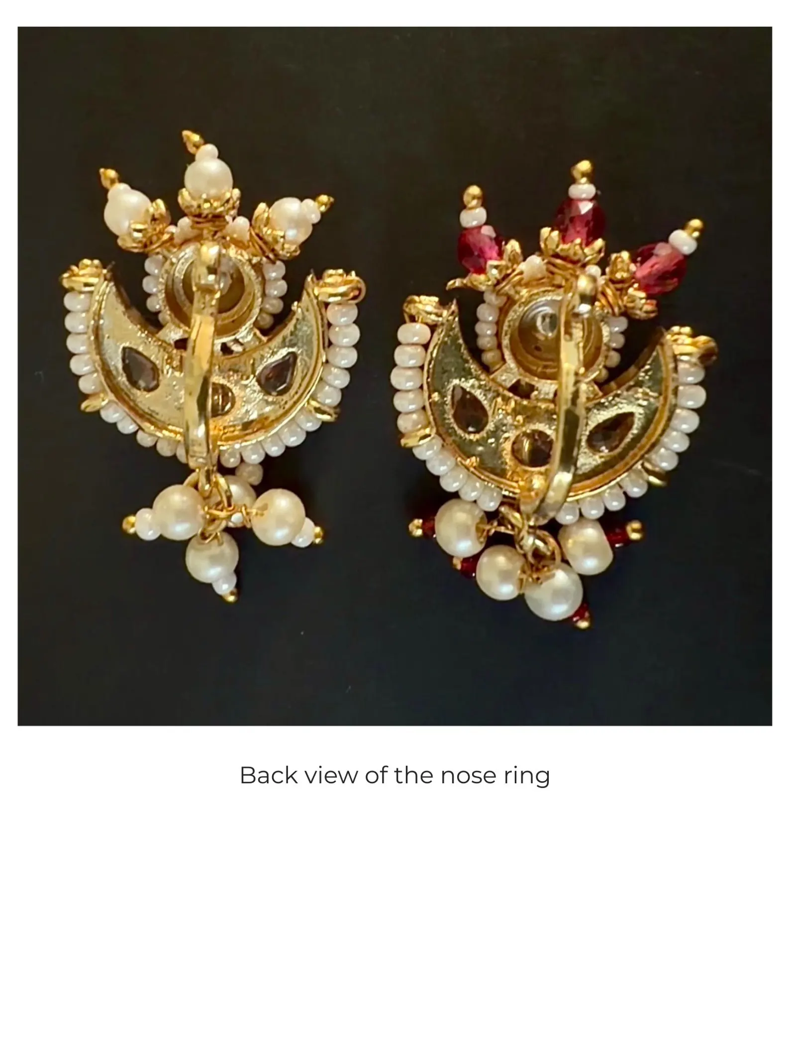 Royal Maharashtrian Nath — view 4